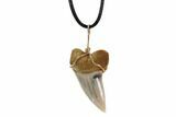 Fossil Mako Tooth Necklace - Bakersfield, California #95250-1